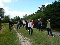 stage à Broceliande